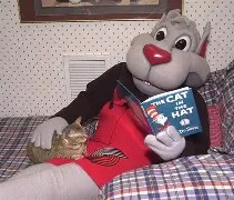 风云突变！波特兰开拓者国际比赛日刷新队史纪录，欧超杯版图或变，震撼外界，控场能力受关注的简单介绍-雷速直播官网